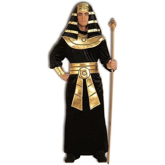 Forum Novelties F60442 Egyptian Pharaoh Costume